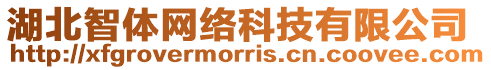 湖北智體網絡科技有限公司