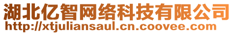 湖北億智網(wǎng)絡(luò)科技有限公司