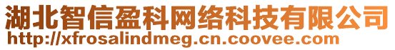 湖北智信盈科網(wǎng)絡(luò)科技有限公司