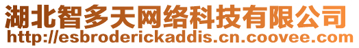 湖北智多天網絡科技有限公司