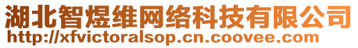 湖北智煜維網絡科技有限公司