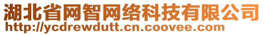 湖北省網(wǎng)智網(wǎng)絡(luò)科技有限公司