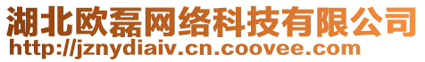 湖北歐磊網(wǎng)絡(luò)科技有限公司