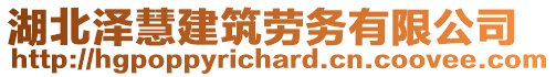 湖北澤慧建筑勞務有限公司