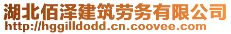 湖北佰澤建筑勞務(wù)有限公司