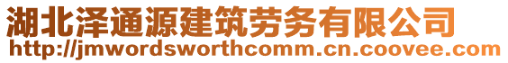 湖北泽通源建筑劳务有限公司