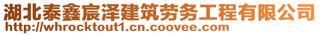 湖北泰鑫宸澤建筑勞務(wù)工程有限公司