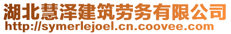 湖北慧澤建筑勞務有限公司