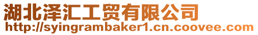湖北澤匯工貿有限公司