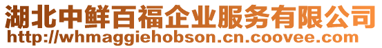 湖北中鮮百福企業(yè)服務(wù)有限公司