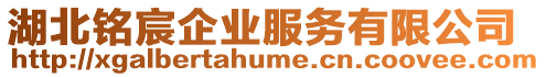 湖北銘宸企業服務有限公司
