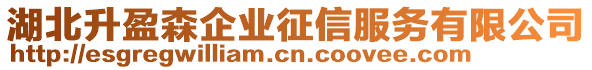 湖北升盈森企業(yè)征信服務(wù)有限公司