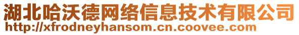 湖北哈沃德網(wǎng)絡信息技術(shù)有限公司