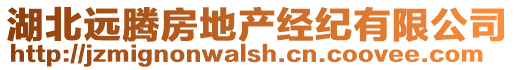 湖北遠騰房地產經紀有限公司