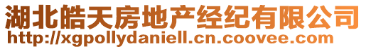 湖北皓天房地產(chǎn)經(jīng)紀(jì)有限公司