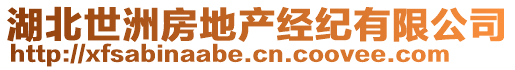 湖北世洲房地產(chǎn)經(jīng)紀(jì)有限公司