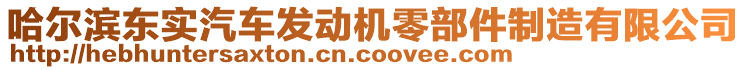 哈爾濱東實汽車發動機零部件制造有限公司