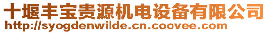 十堰豐寶貴源機(jī)電設(shè)備有限公司