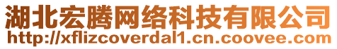 湖北宏騰網(wǎng)絡(luò)科技有限公司