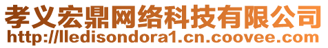 孝義宏鼎網(wǎng)絡(luò)科技有限公司