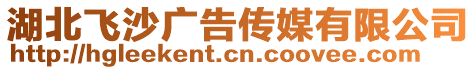 湖北飛沙廣告?zhèn)髅接邢薰? style=