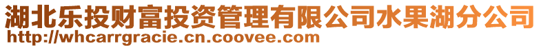 湖北樂投財(cái)富投資管理有限公司水果湖分公司