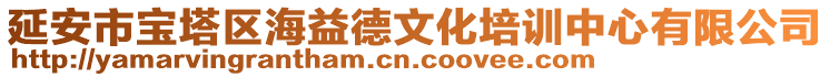 延安市寶塔區(qū)海益德文化培訓(xùn)中心有限公司