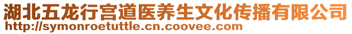 湖北五龍行宮道醫(yī)養(yǎng)生文化傳播有限公司