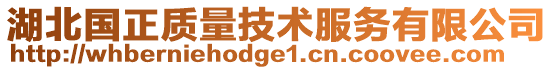 湖北國(guó)正質(zhì)量技術(shù)服務(wù)有限公司