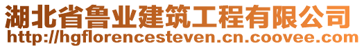 湖北省魯業(yè)建筑工程有限公司