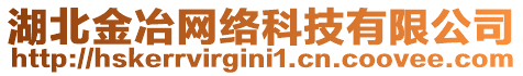 湖北金冶網(wǎng)絡(luò)科技有限公司