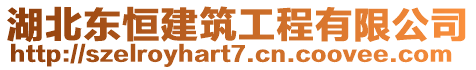 湖北東恒建筑工程有限公司