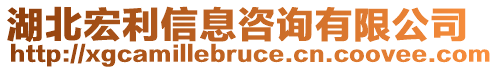 湖北宏利信息咨詢有限公司