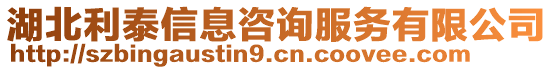 湖北利泰信息咨詢服務(wù)有限公司