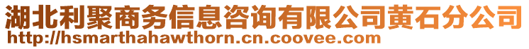 湖北利聚商務信息咨詢有限公司黃石分公司