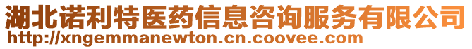 湖北諾利特醫(yī)藥信息咨詢服務(wù)有限公司