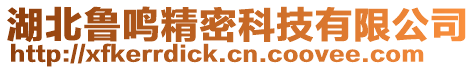 湖北魯鳴精密科技有限公司