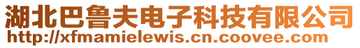 湖北巴魯夫電子科技有限公司