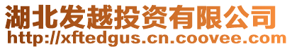 湖北發(fā)越投資有限公司