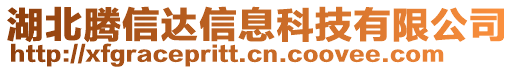 湖北騰信達信息科技有限公司