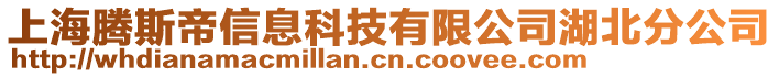 上海騰斯帝信息科技有限公司湖北分公司