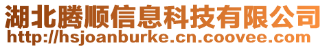 湖北騰順信息科技有限公司