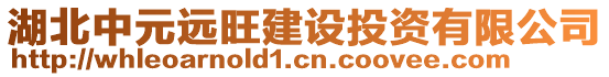 湖北中元遠旺建設投資有限公司