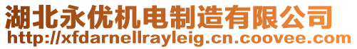 湖北永優(yōu)機(jī)電制造有限公司