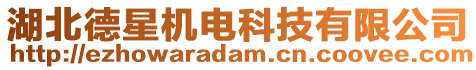 湖北德星機(jī)電科技有限公司