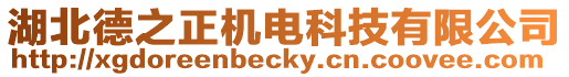 湖北德之正機電科技有限公司