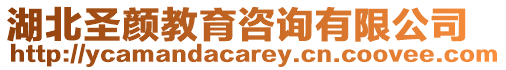 湖北圣顏教育咨詢有限公司