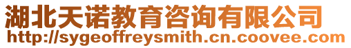 湖北天諾教育咨詢有限公司