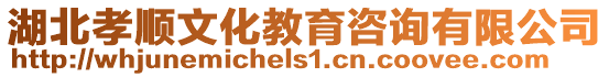 湖北孝順文化教育咨詢有限公司