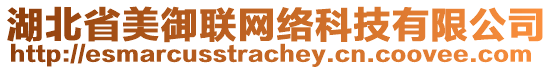 湖北省美御聯(lián)網(wǎng)絡(luò)科技有限公司